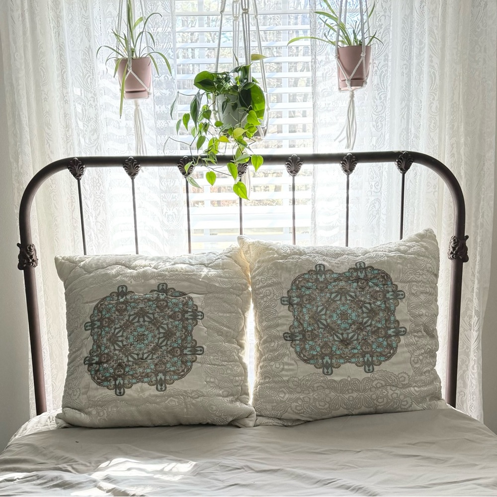 Anthropologie pair (2) Euro shams